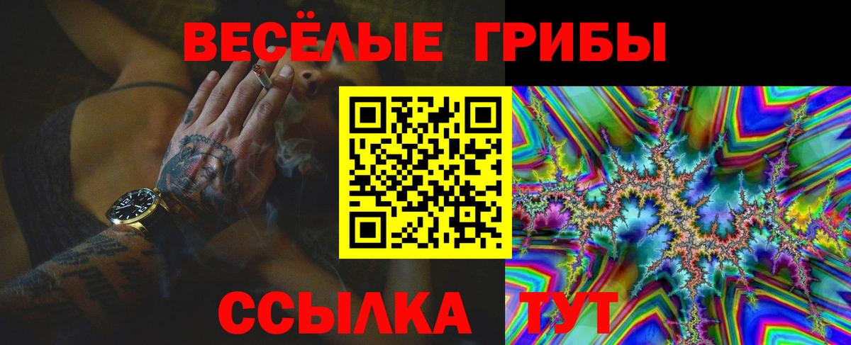 Псилоцибиновые грибы Psilocybe Семёнов